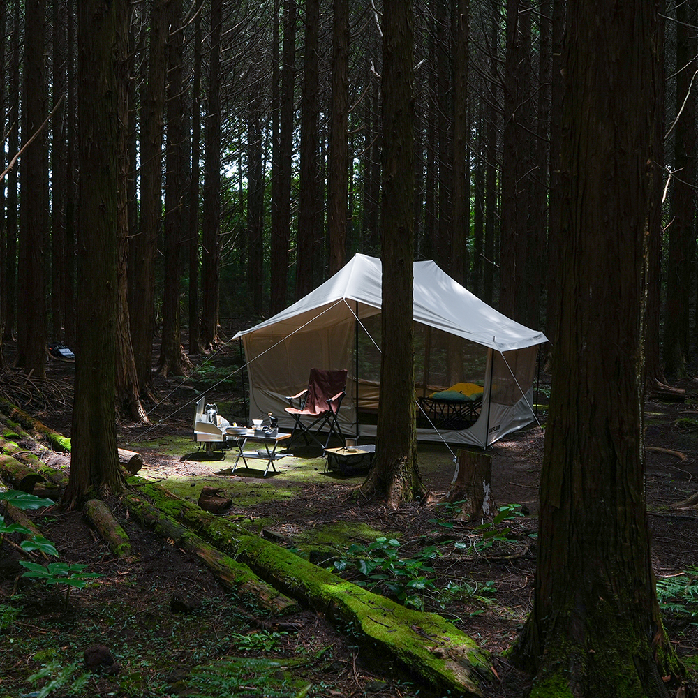 캐빈 트윈 354 TC